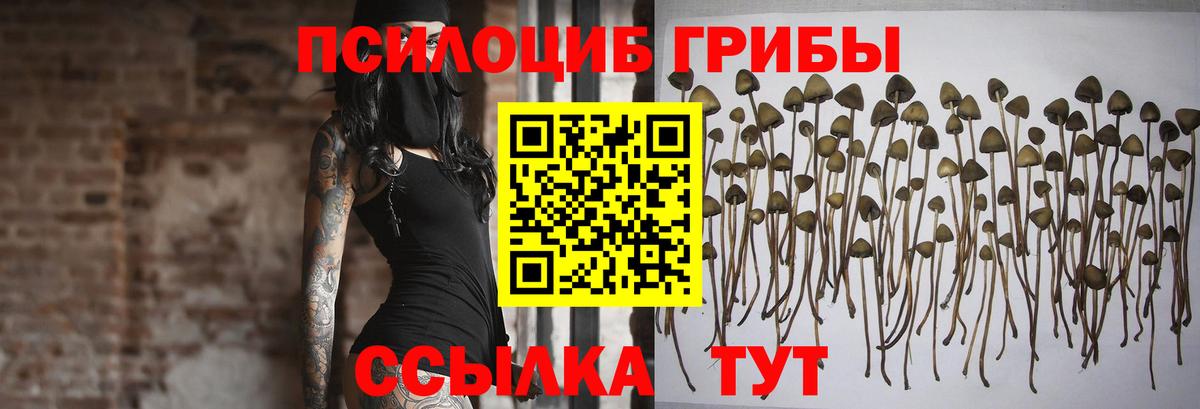 Псилоцибиновые грибы мухоморы  Вход с VPN  наркотики  Архангельск 